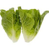 Cos Lettuce (2 Pack)