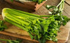 Celery (Bunch)