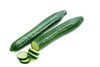 Cucumber Continental (each)